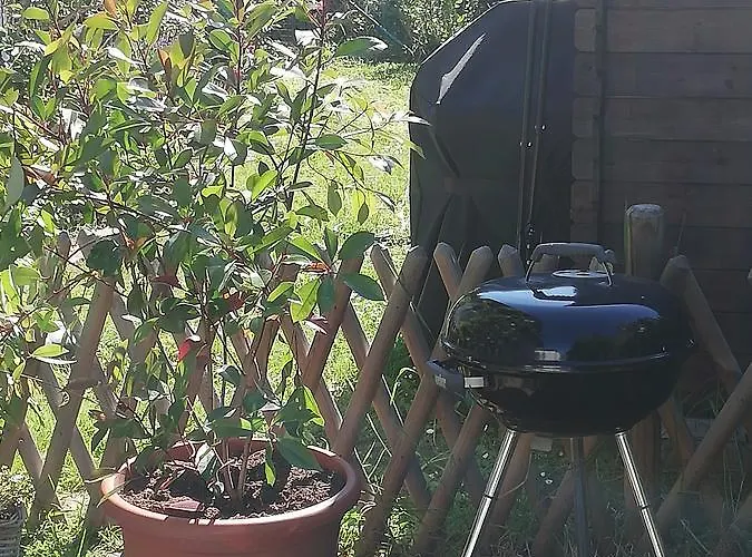 شقة Apartment Heddesheim *